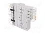 SPAMEL Interruptor de Generador de Red 80A 3 Posiciones