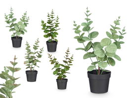 Ibergarden Maceta Planta Hoja Redonda Mate Brillo Surtidos Col 16x35x10 cm (Set de 12)