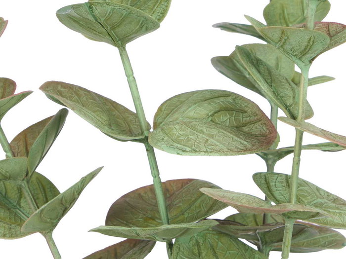 Ibergarden Maceta Planta Hoja Redonda Mate Brillo Surtidos Col 16x35x10 cm (Set de 12)