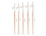 Innspiro Set de 5 pinceles de cerda redondos mango largo nº 2, 4, 6, 8, 10