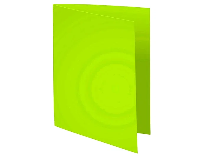 Exacompta Subcarpeta de papel A4, Verde Menta, 80 g/m², Certificado PEFC - 210x297 mm Exacompta Subcarpeta de papel A4, Verde Menta, 80 g/m², Certificado PEFC - 210x297 mm