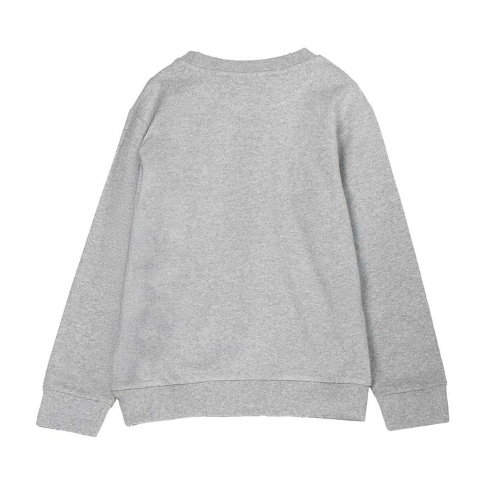 Cerdá Sudadera Cotton Brushed Toy Story 6 Años Gris