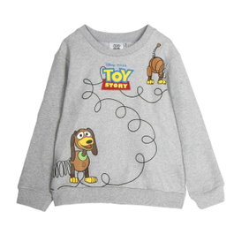 Cerdá Sudadera Cotton Brushed Toy Story 6 Años Gris