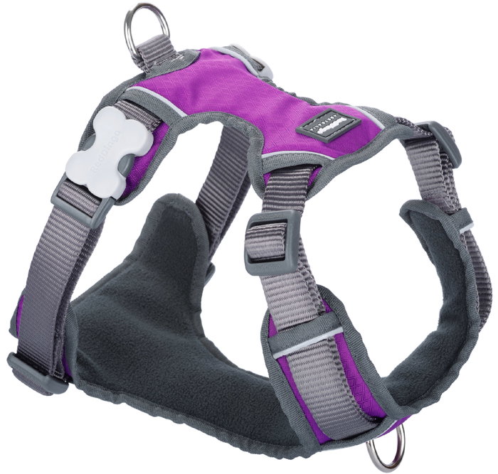 Red Dingo Petral Red Dingo Acolchado XL Morado (Set de 10)</h1> Red Dingo Petral Red Dingo Acolchado XL Morado (Set de 10)</h1>