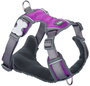 Red Dingo Petral Red Dingo Acolchado XL Morado (Set de 10)</h1>