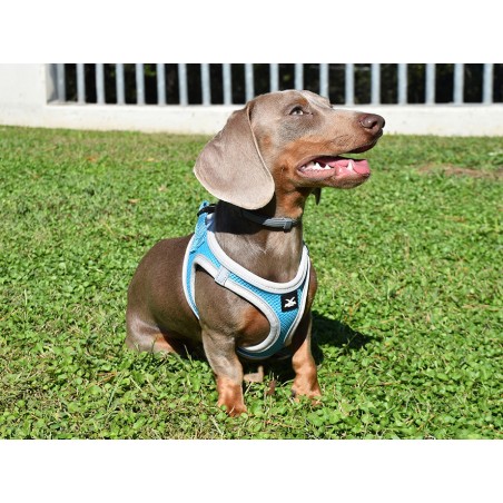 Nayeco Arnés X-Trm Neo Azul Talla S (40-45 cm) para Perro Transpirable y Reflectante