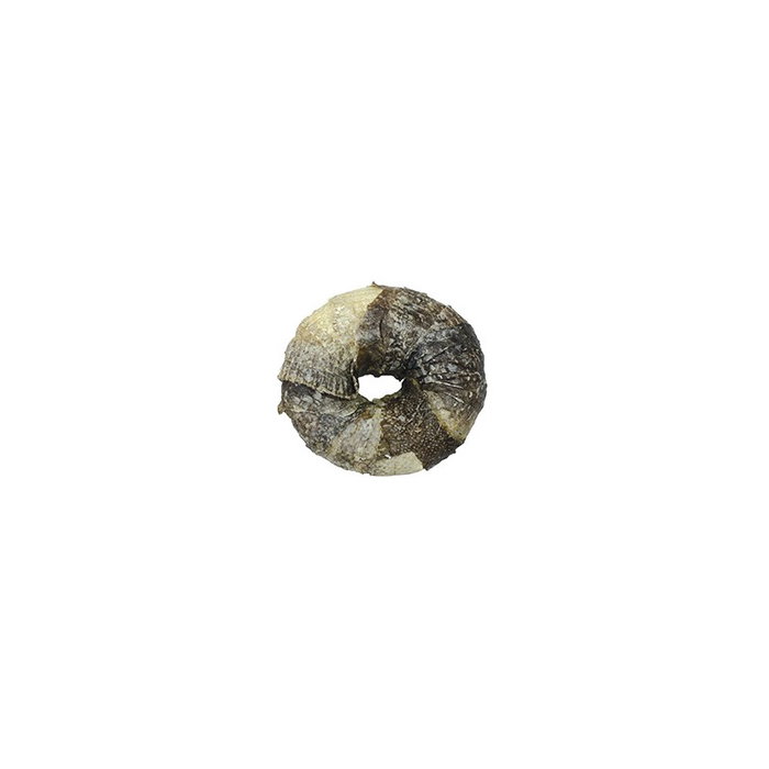 Croci BBQ Party Donut con Pescado 9cm (25 unidades) Croci BBQ Party Donut con Pescado 9cm (25 unidades)