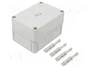SPELSBERG TK PC 1309-8-O Carcasa Universal de Policarbonato Gris