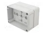 SPELSBERG TK PC 1309-8-O Carcasa Universal de Policarbonato Gris