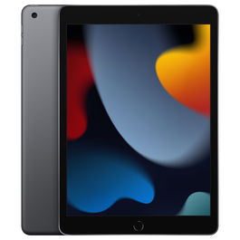 Apple iPad 10.2 Wi-Fi 256GB Gris Espacial 9.ª Generación