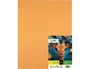 Liderpapel Cartulina Avellana 50x65 cm 180 g (25 hojas)