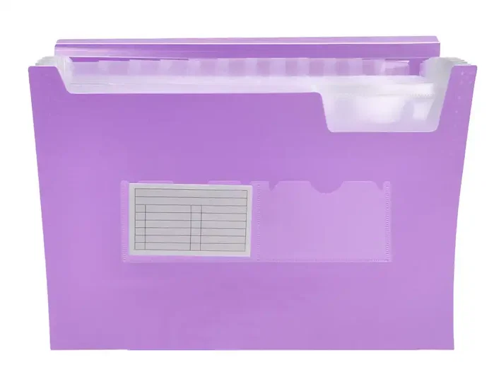 Liderpapel Carpeta Clasificador Fuelle Polipropileno DIN A4 Lavanda Opaco 13 Departamentos