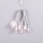 Guirnalda LED Interior 1,5M Blanco Cálido