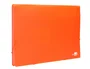 Liderpapel Carpeta clasificadora de fuelle naranja fluor 13 departamentos DIN A4