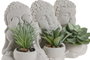 DKD Home Decor Figura Buda Cactus Surtida de Cemento y PVC