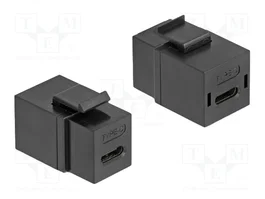 DeLOCK Módulo Keystone USB 2.0 Type-C hembra a hembra negro