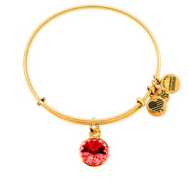 Alex And Ani Pulsera Enero AC Brill Dorado de Metal