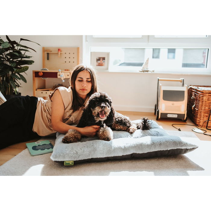 Cama para Perro Hunter Rockford Gris 100 x 70 cm