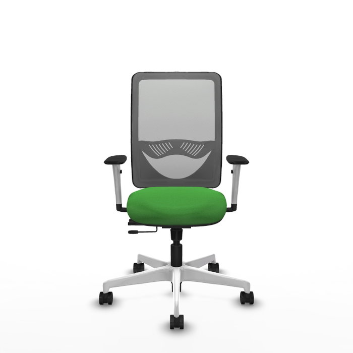 PIQUERAS Y CRESPO Silla de oficina Zulema con mecanismo Sincro/Traslack Verde y Gris