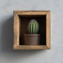 Hanah Home Raf279 Estantería de Pared Madera Maciza Decorativa Negro 14x15x7 cm