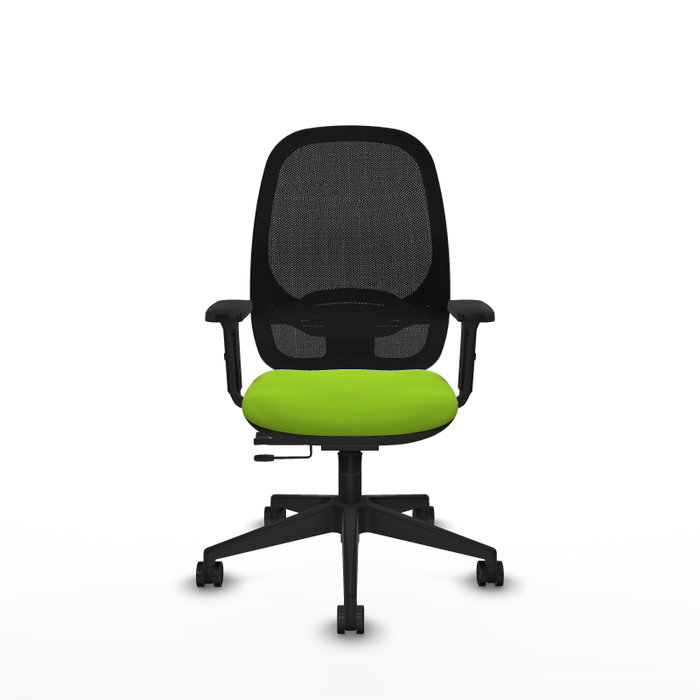 PIQUERAS Y CRESPO Silla de oficina Cilanco con mecanismo Sincro/Traslack, Pistacho y Negro PIQUERAS Y CRESPO Silla de oficina Cilanco con mecanismo Sincro/Traslack, Pistacho y Negro