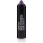CAMALEON COSMETICS Magic Colourstick Gris