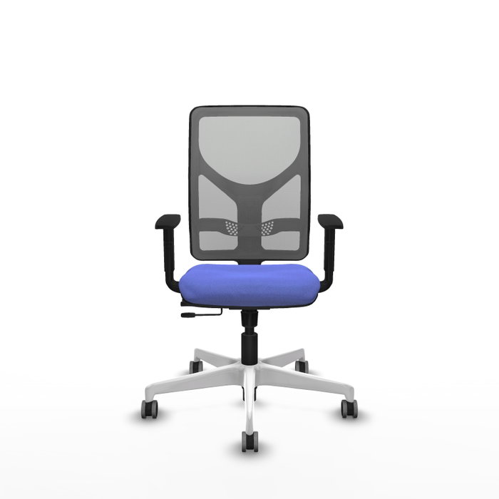 PIQUERAS Y CRESPO Silla de oficina Motilla con mecanismo Sincro/Traslack, Azul claro y Gris PIQUERAS Y CRESPO Silla de oficina Motilla con mecanismo Sincro/Traslack, Azul claro y Gris