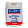 Lamberts Pycnogenol 40 mg 60 cápsulas