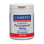 Lamberts Pycnogenol 40 mg 60 cápsulas
