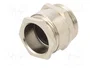 BM GROUP Sello aislante PG21 IP54 de latón