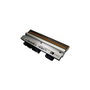 Zebra P1004237 Cabeza de impresora 300 dpi Negro
