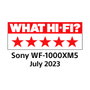 Sony WF-1000XM5 Auriculares Inalámbricos con Cancelación de Ruido Negro