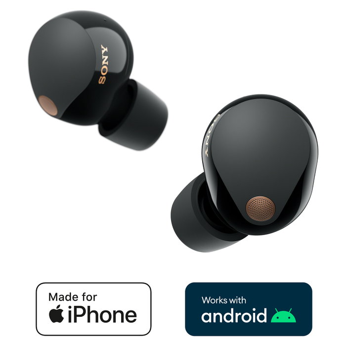 Sony WF-1000XM5 Auriculares Inalámbricos con Cancelación de Ruido Negro