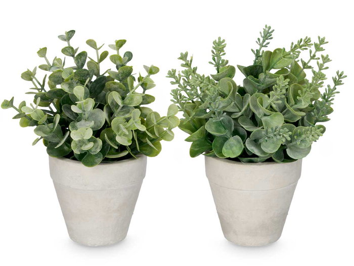 Ibergarden Maceta Hojas Verdes Surtidos 15x19x15 cm (Set de 24)