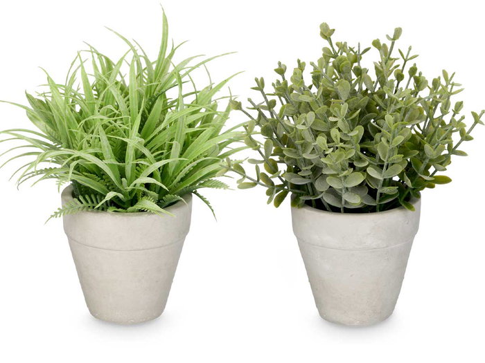 Ibergarden Maceta Hojas Verdes Surtidos 15x19x15 cm (Set de 24)