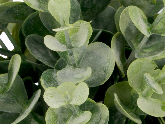 Ibergarden Maceta Hojas Verdes Surtidos 15x19x15 cm (Set de 24)