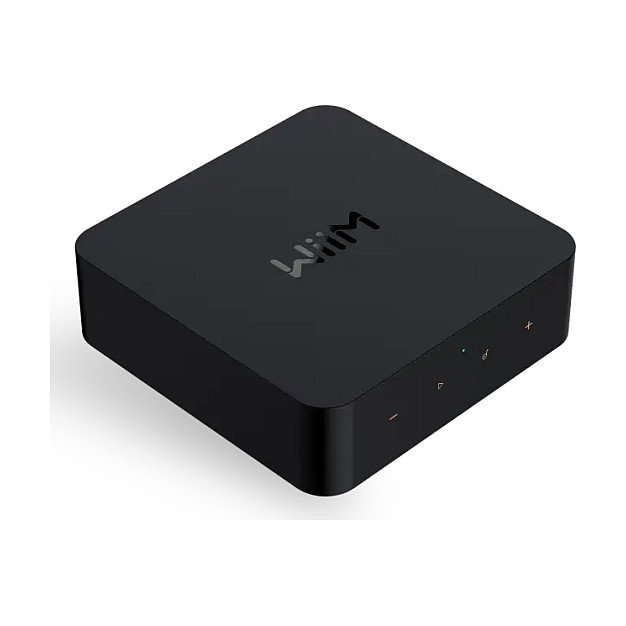 WiiM Pro Sistema de Streaming de Música Inteligente Gris WiiM Pro Sistema de Streaming de Música Inteligente Gris