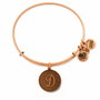 Alex And Ani Pulsera de Metal con Letra D en Dorado
