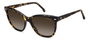Carrera CARRERA-3043-S-86 Gafas de sol marrón