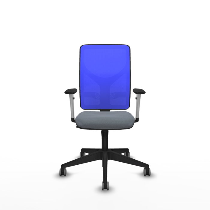 PIQUERAS Y CRESPO Silla de oficina Motilla con mecanismo Sincro, Gris y Azul PIQUERAS Y CRESPO Silla de oficina Motilla con mecanismo Sincro, Gris y Azul