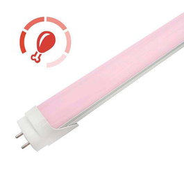 HO Tubo LED T8 18W 1.500Lm 120Cm Difusor Opal Rosa [HO-T8-1200-18W-R-O]