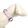Cerdá - Collar para Perros XXS/XS - Pink - Modelo T1XXS