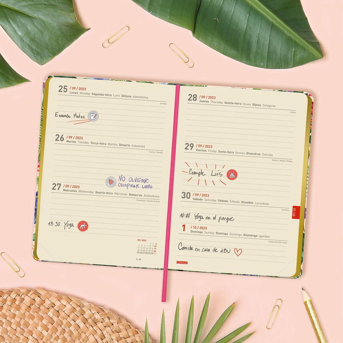 Finocam agenda escolar natural m4 svh imposible 2023-2024 Finocam agenda escolar natural m4 svh imposible 2023-2024