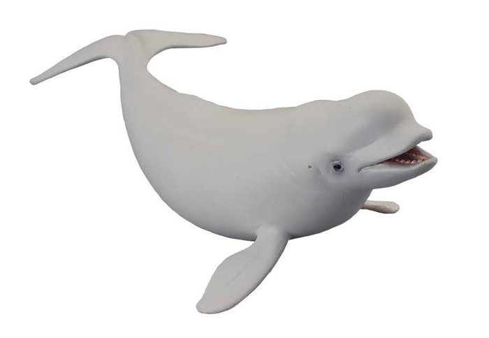 COLLECTA Beluga -L- 88568 COLLECTA Beluga -L- 88568