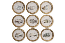 DKD Home Decor Cuadro Cristal Ratan 30x2x30 Caracola Surtido de 9 Unidades