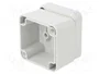 FIBOX EURONORD Carcasa Universal Gris