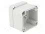 FIBOX EURONORD Carcasa Universal Gris
