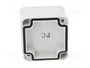 FIBOX EURONORD Carcasa Universal Gris