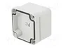 FIBOX EURONORD Carcasa Universal Gris