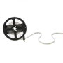 Greenice Tira de LEDs SMD2835 Blanco Frío 24VDC 5m 4000Lm